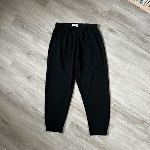 Babaton Aritzia dress pants